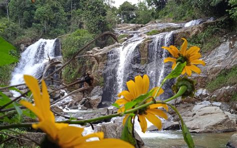 Caminata Ecológica Cascada Matasano Alto Popalito Concepción