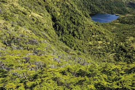 ¿dónde Está La Isla Traiguén Territorio Nacional Que Está En Venta