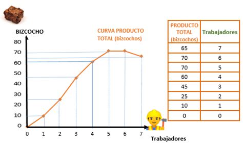 8 1 La función de producción a corto plazo ECONOSUBLIME