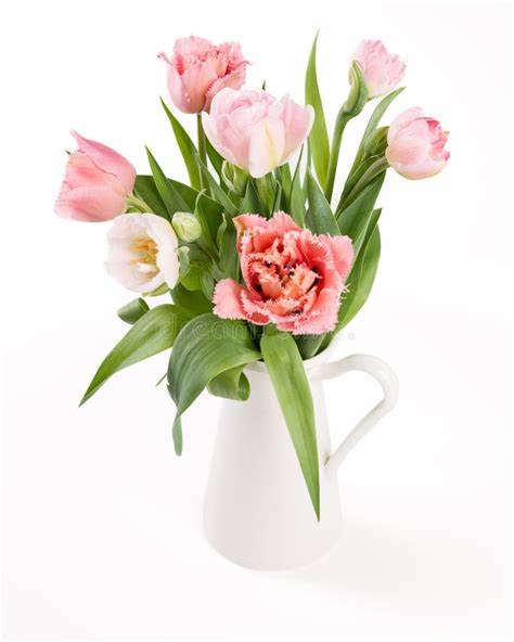 Elegant Mixed Tulips Pink Colored Spring Bouquet On White Background