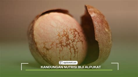 Kenali Lebih Dalam 8 Manfaat Biji Alpukat untuk Kesehatan Anda - ngulasmerk.com