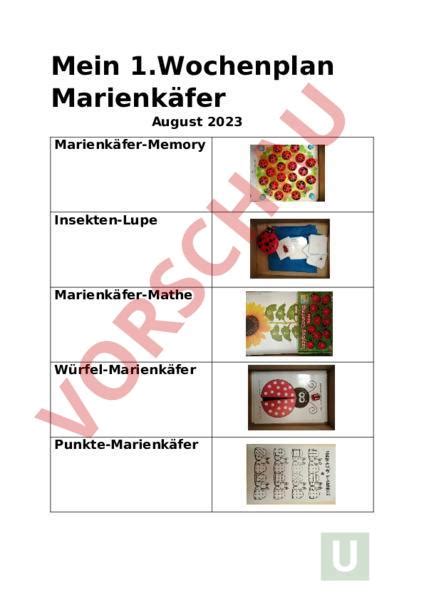 Arbeitsblatt Wochenplan Marienk Fer Administration Methodik Lehr