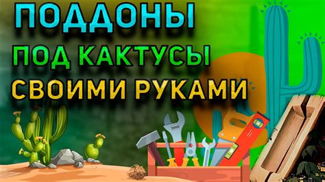 Поддоны под кактусы своими руками. Уход за кактусом. Кактусы и ...