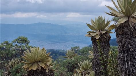 Caminata P Ramo De Tacines Y P Ramo Morasurco Cerros De Pasto Nari O