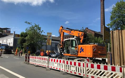 Neue Wasserleitung Bäume müssen in Wülfrath weichen