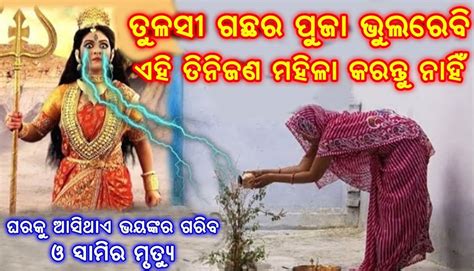 ଏହି ୩ ଜଣ ମହିଳା ଭୁଲରେ ମଧ୍ୟ ତୁଳସୀ ଗଛ ପୁଜା କରନ୍ତୁ ନାହିଁ ଭୟଙ୍କର ଗରିବ