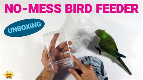 No-Mess Bird Feeder - Model #1 | Original Video Reviews