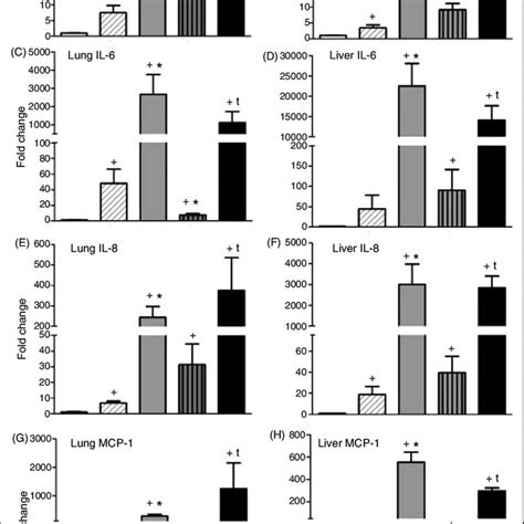 Intra Amniotic Lps Exposure Increased Lung Mpo Positive Cells A