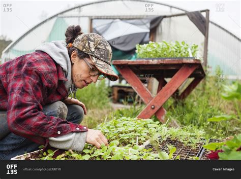 Female farmer working on farm stock photo - OFFSET