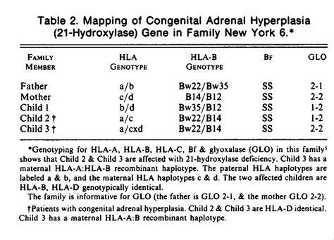 Genetic Mapping Of The 21 Hydroxylase Deficiency Gene Within The Hla Linkage Group New England