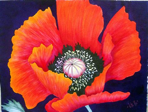 Red Orange Poppy Flower Watercolor - Etsy