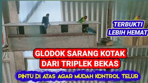 Glodok Kotak Lovebird Dari Triplek Bekas Gratiss YouTube