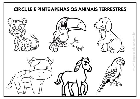 Atividades Dia Dos Animais Educação Infantil - Dia dos animais: atividades para Educação Infantil! - Blog Espaço Educar