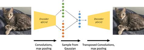 Autoencoders Are A Standard Deep Learning Model For Dimensionality