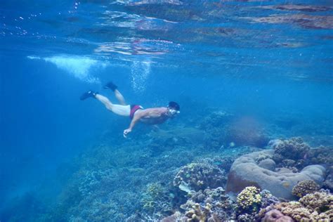 Snorkeling Kayaking Packages Raja Ampat Dive Lodge