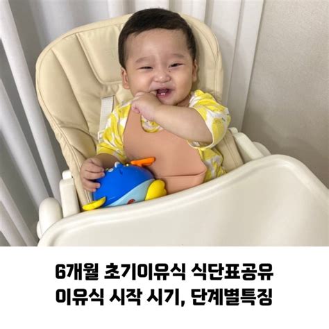 6개월 초기 이유식 식단표 공유 Ft이유식 시작 시기 단계별 특징 네이버 블로그