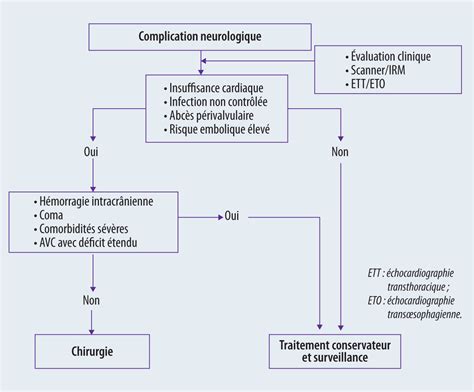 Endocardite Infectieuse Complications Neurologiques Et Prise En Charge Figure 4