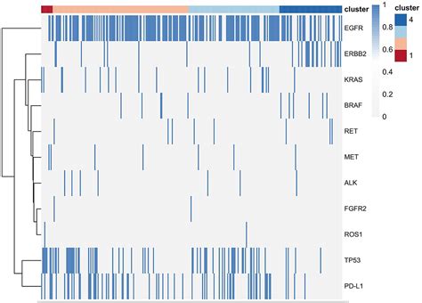 Frontiers Ct Based Radiomic Phenotypes Of Lung Adenocarcinoma A Preliminary Comparative