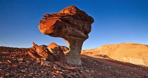 Bisti Wilderness Area