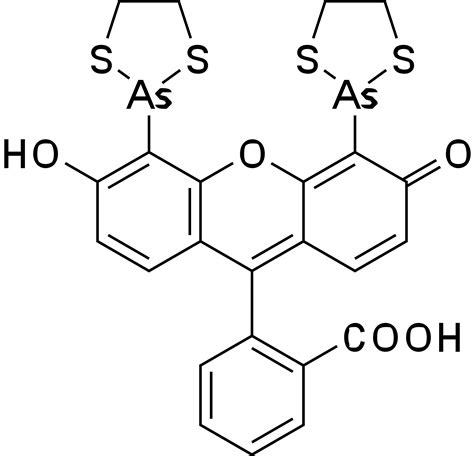 Tetracysteine FLASH Reagent 2 MM DMSO Solution AAT Bioquest