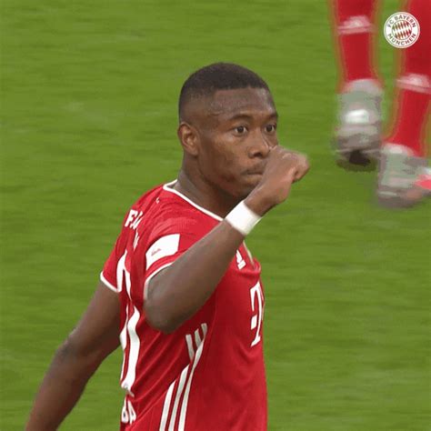 Dfb Pokal Celebration By Fc Bayern Munich Find Share On Giphy