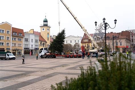 Wi Teczna Choinka Pojawi A Si Ju Na Rybnickim Rynku Dziennik Zachodni