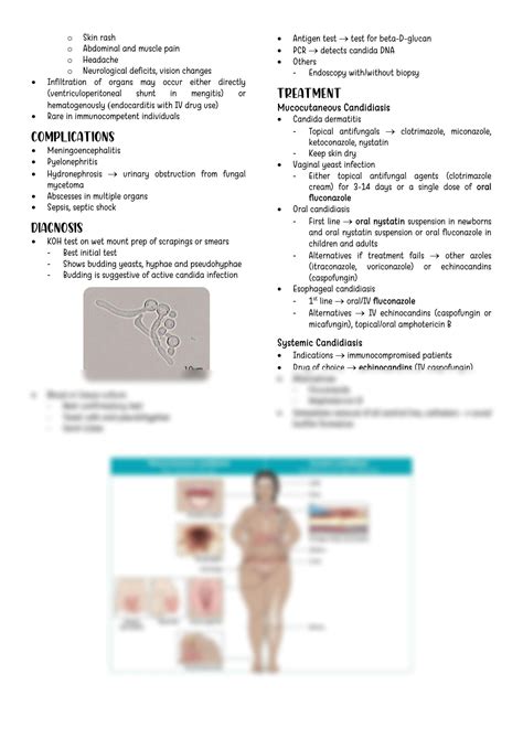 SOLUTION Candidiasis Study Notes Studypool