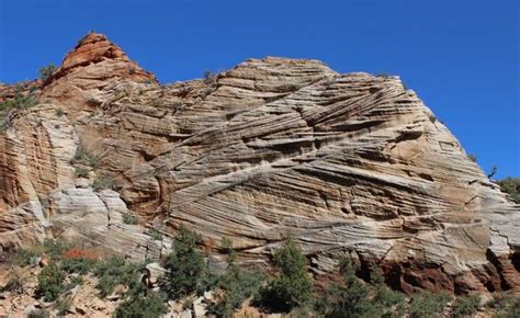 Crossbedding in Zion National Park - geology | National parks, Zion ...