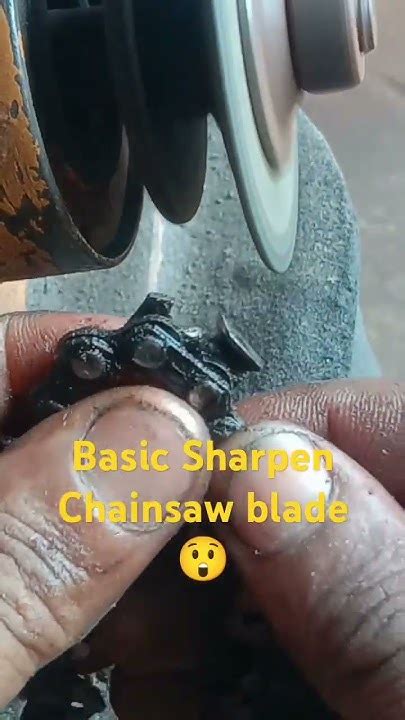 Basic Sharpen Chainsaw Blade 😲 Youtube