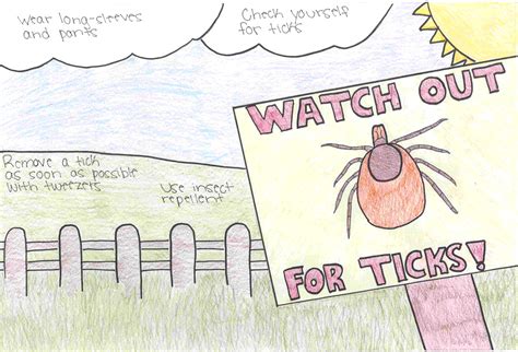 Lyme Poster Gallery Grade 6 Mecdc Maine Dhhs