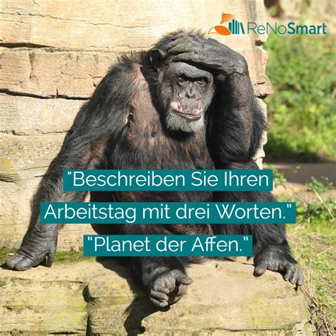 Beschreiben Sie Ihren Arbeitstag Mit Drei Worten Planet Der Affen