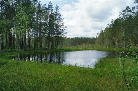 Озеро Озерки-1