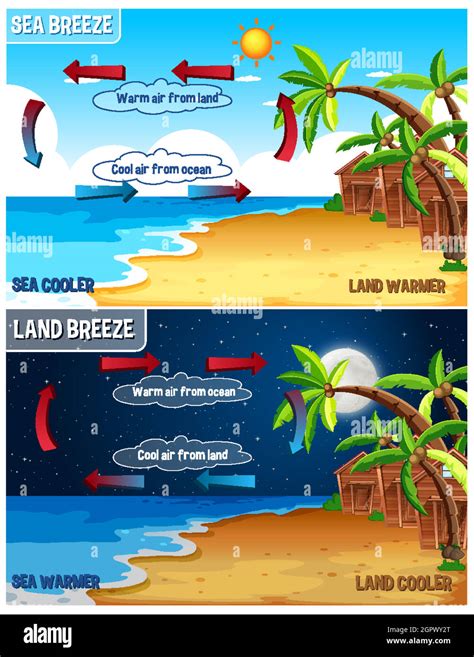 Science Poster Design For Sea And Land Breeze Stock Vector Image Art