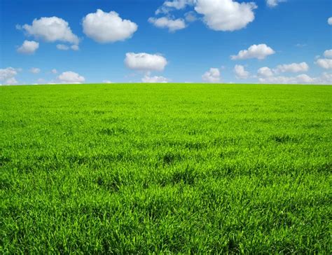 Field — Stock Photo © Pakhnyushchyy #2488301 