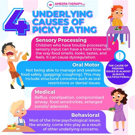 4 Underlying Causes of Picky Eating