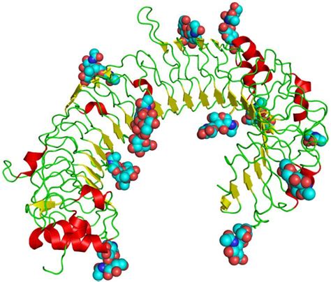 Toll Like Receptor Alchetron The Free Social Encyclopedia