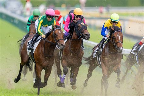 武豊騎手 今週の騎乗馬菊花賞はファントムシーフで参戦 競馬ニュースなら競馬のおはなし