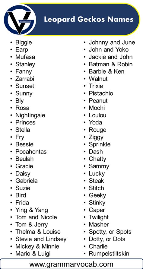 Names For Leopard Geckos GrammarVocab