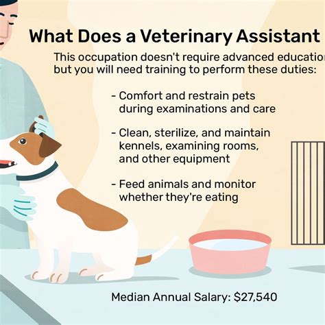 How To Become Veterinary Assistant Phaseisland17