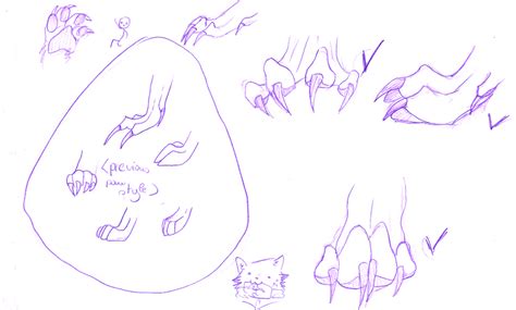 Wolf Paw Anatomy Sketches by Amexis on DeviantArt