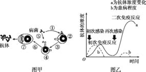 [题目]下图为氨基酸和进出肾小管上皮细胞的示意图.下列说法错误的是( )A.Na+运出肾小管上皮细胞的跨膜运输方式为主动运输B.氨基酸进入肾小