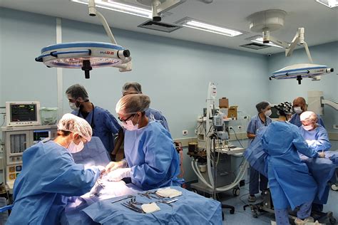 Projetos do Hospital Veterinário Escola de Veterinária UFMG