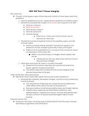 NSG 100 Tissue Integrity NSG 100 Test 3 Tissue Integrity Skin Anatomy