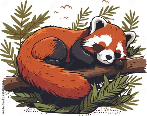 Red Panda Sleeping Cartoon Illustration Animal Stock Vector Adobe Stock