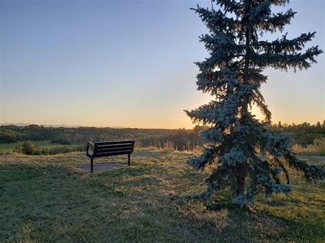 Top 6 Activities to Do at Fish Creek Provincial Park Calgary