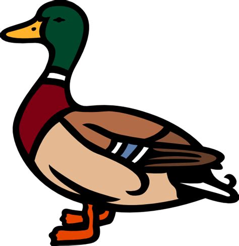 Duck Clipart Photo Infoupdate Org