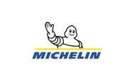 Pneu Aro Michelin Extra Load Tl