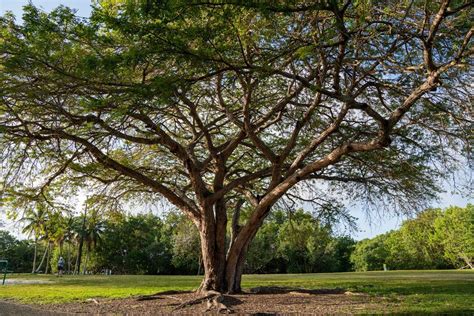 Vita Neighborhood Spotlight Shake A Leg Miami