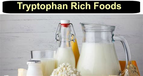 Top 8 Tryptophan-Rich Foods that Increase Serotonin Levels