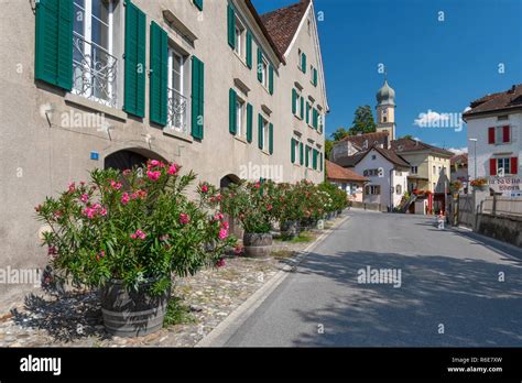 Municipality Maienfeld In The Landquart Region In The Swiss Canton Of ...